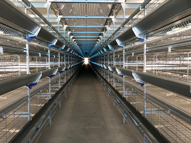 Universal-64_live_Cosmic_Taiwan_X3469_IMG-20181102-WA0001_mf