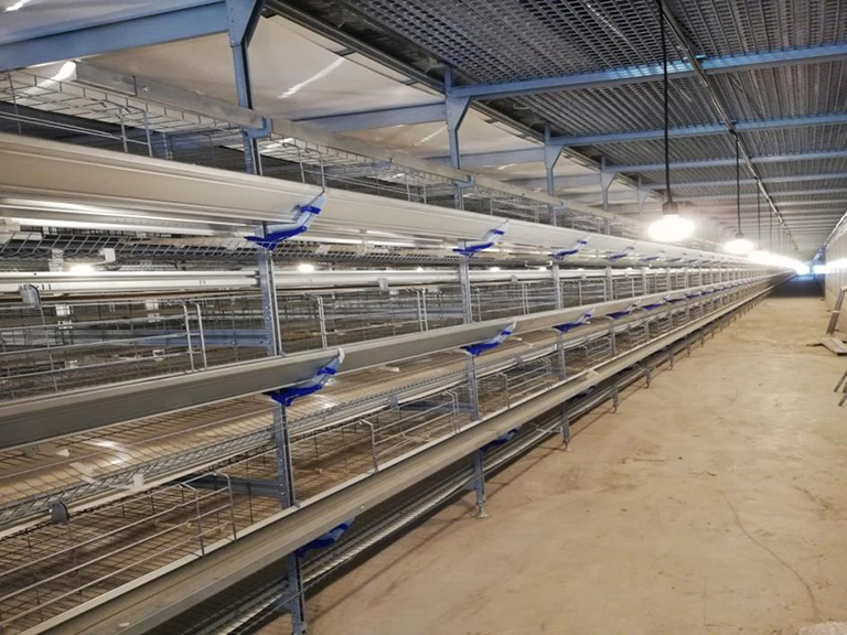 universal-64-UNIVERSAL-BOX (1)